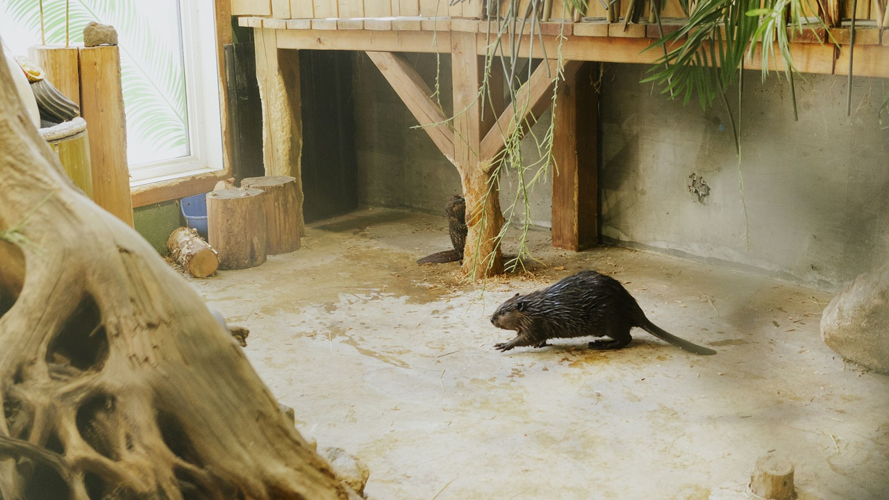 Courte promenade au Miller Zoo en images