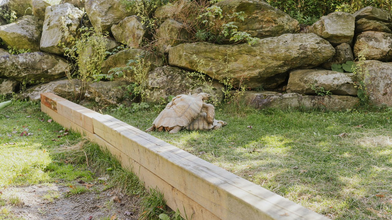Courte promenade au Miller Zoo en images