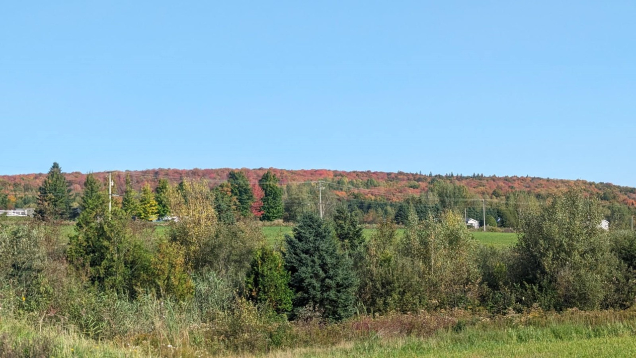 Galerie 4 : les couleurs d'automne à travers vos yeux