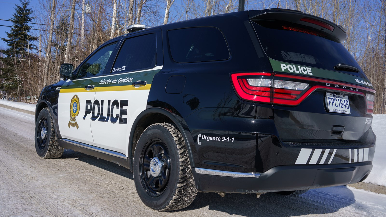 Près de 500 litres d'alcool de contrebande saisis à Saint-Victor