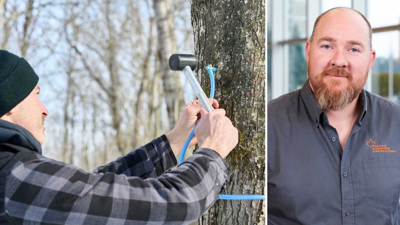 «Que restera-t-il pour la production de sirop en forêt publique si la ministre continue de se traîner les pieds de la sorte?», a déclaré le président des PPA Appalaches–Beauce–Lotbinière, Vincent Boutin.