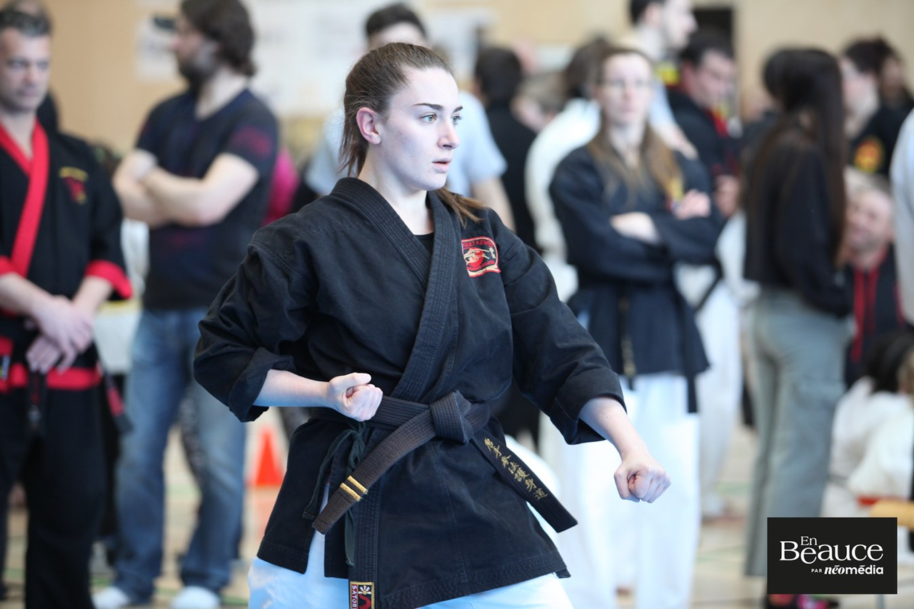 Le 23e Championnat Yoseikan Beauce réunit les passionnés à Saint-Georges