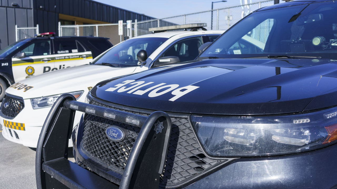Près de 58 000 cigarettes de contrebande saisies à Saint-Martin