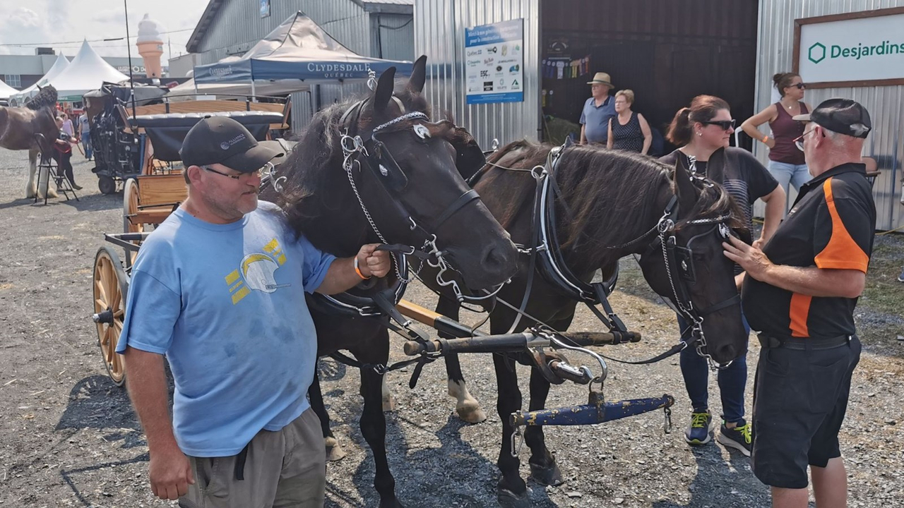 Retour en images sur l'Expo agricole de Beauce