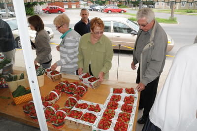 Les fraises de Lanaudière ornent déjà vos desserts