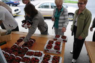 Les fraises de Lanaudière ornent déjà vos desserts