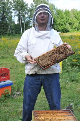 Du miel en abondance