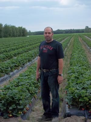 Passer du tabac à la fraise