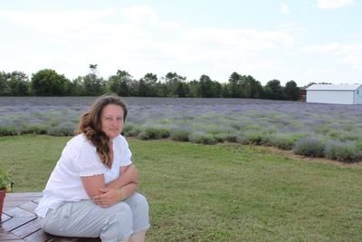 La lavande bien présente dans Lanaudière