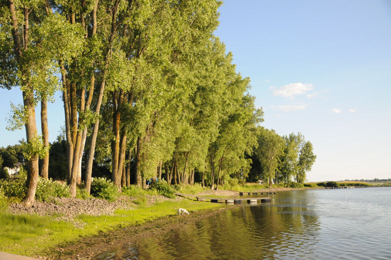 L’archipel du Lac Saint-Pierre est un lieu de villégiature exceptionnel qui regroupe 103 îles et un lac fluvial d’une superficie de 480 km carrés.