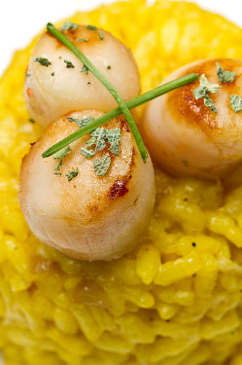 Risotto milanais aux pétoncles