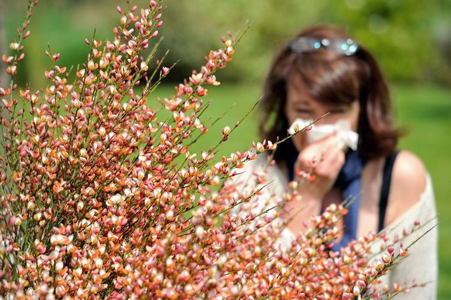 De plus en plus de gens souffrent d’allergies