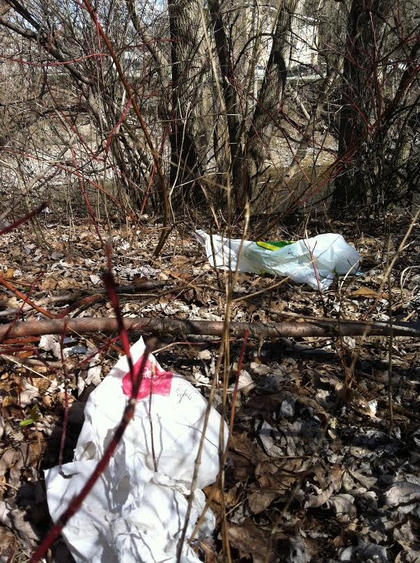 Nettoyage des berges le 17 mai au parc des Dalles