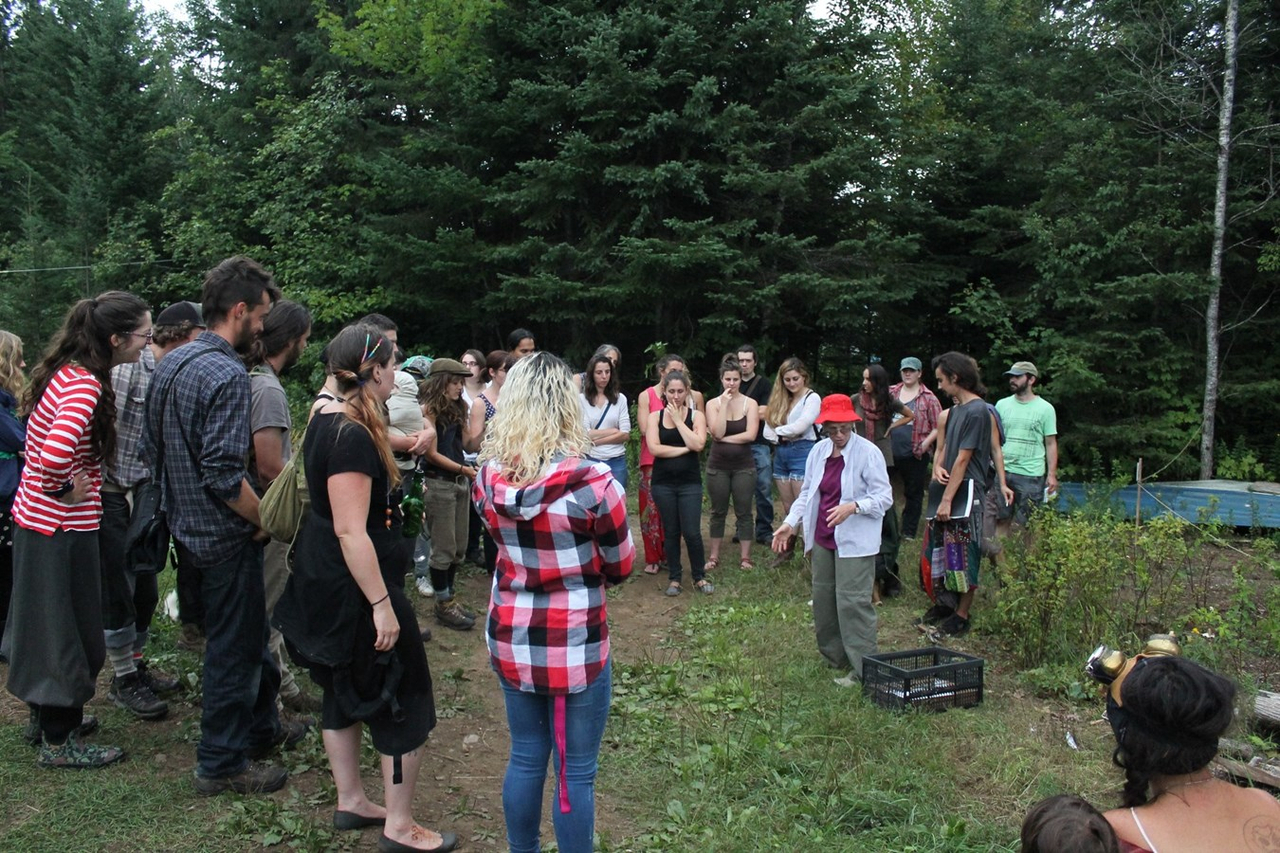 Festival d'Éducation libre, Atelier d'identification de plantes médicinales avec Odette Simard