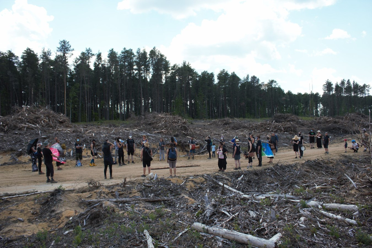 L'une d'entre elle s'est déroulé le jour de la Fête du Canada, où un moment de silence a été respecté en honneur aux arbres morts et aux peuples autochtones.