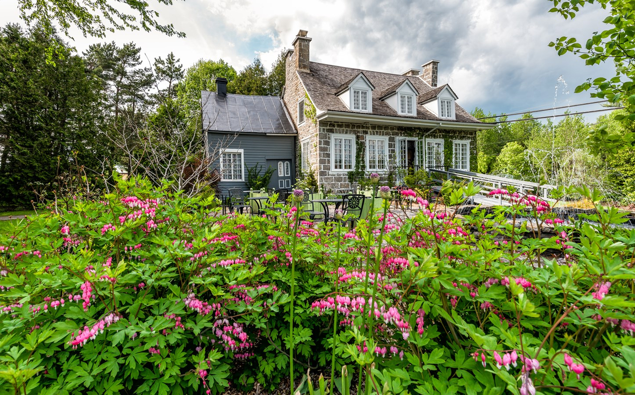 Vente de végétaux  au profit de Maison et jardins Antoine-Lacombe