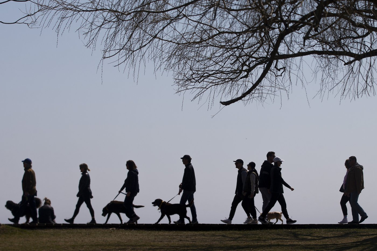 La population canadienne est estimée à 41,5 millions de personnes