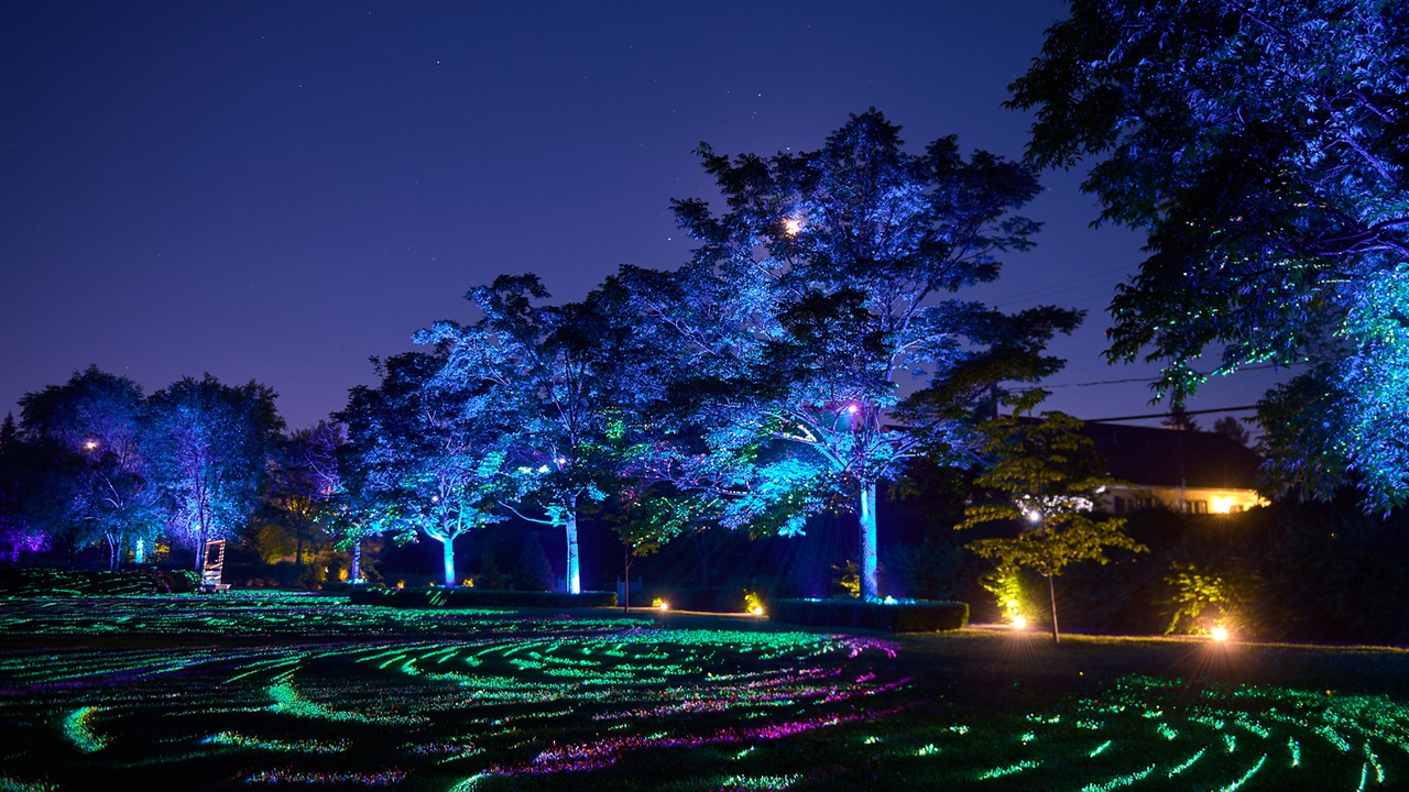 Allégeance, illuminations : un nouvel attrait touristique qui fait briller SCB