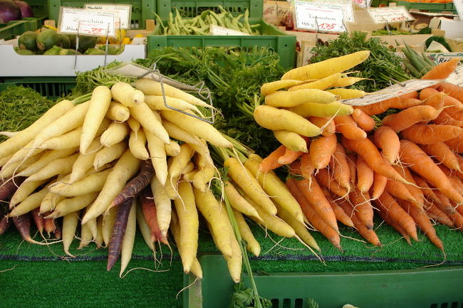 Une étude de marché est en branle afin de déterminer le potentiel de réussite du projet