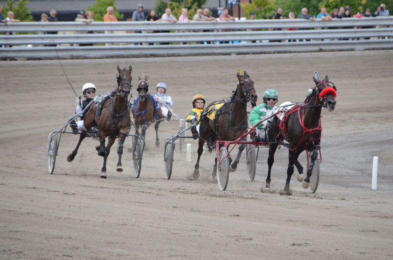 Les courses de chevaux attelés sont de retour à l'hippodrome de Trois-Rivières pour la première fois depuis 2008.