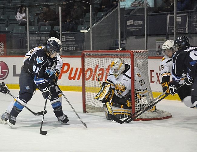 Le gardien Alex Bureau est l'un des trois joueurs de la région choisis par Hockey Québec.