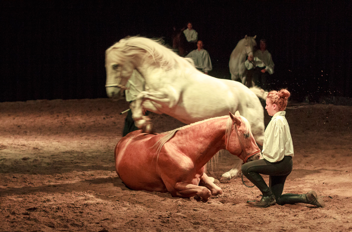 Le spectacle Spécial H du Théâtre équestre Innocenti revient pour trois jours seulement! 