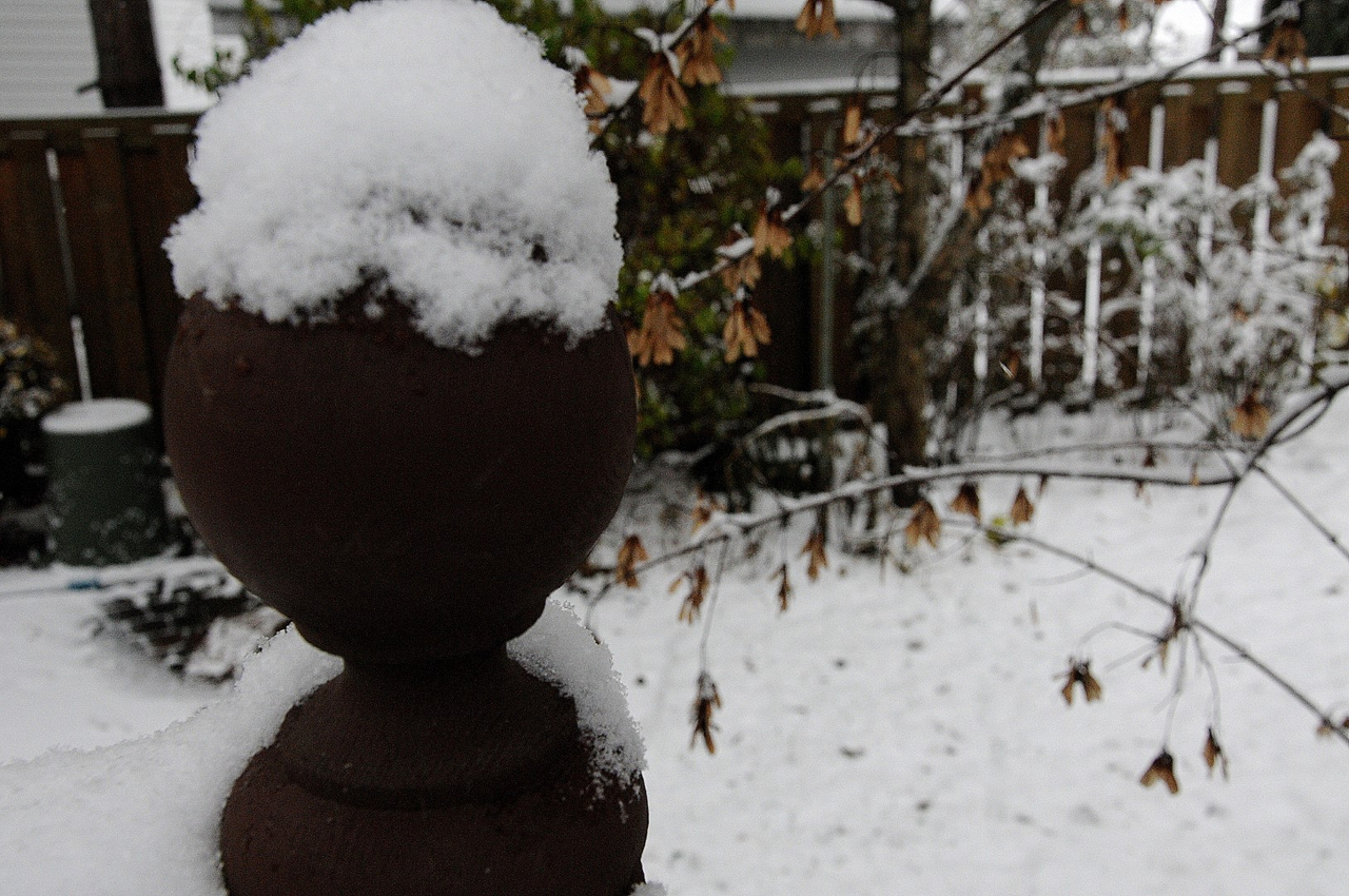 Des premiers flocons aux chutes de neige !
