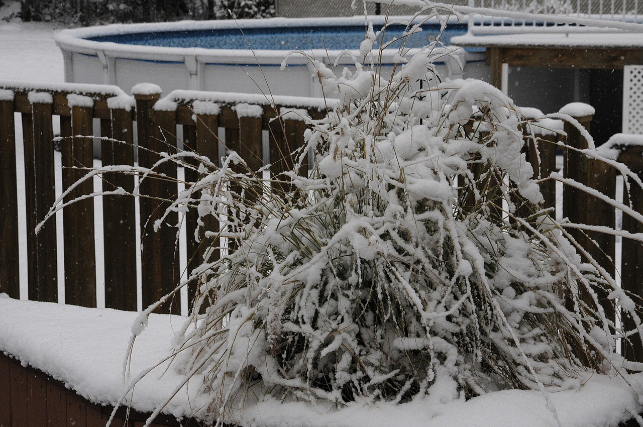 Des premiers flocons aux chutes de neige !
