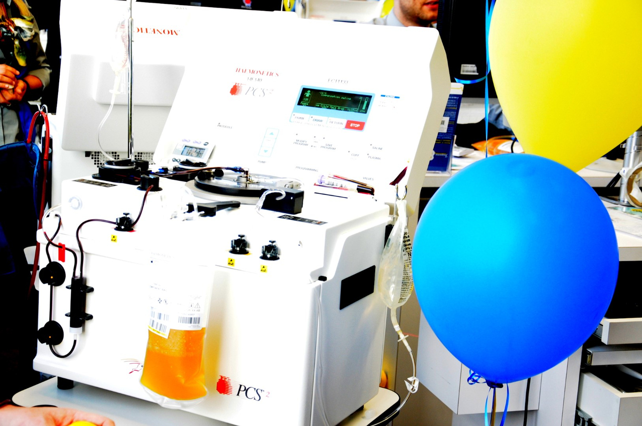 PLASMAVIE fête son 1er anniversaire