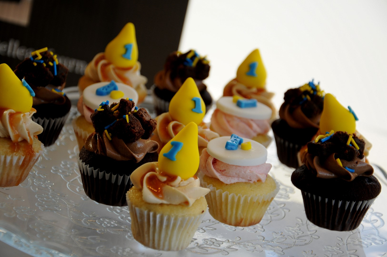 PLASMAVIE fête son 1er anniversaire