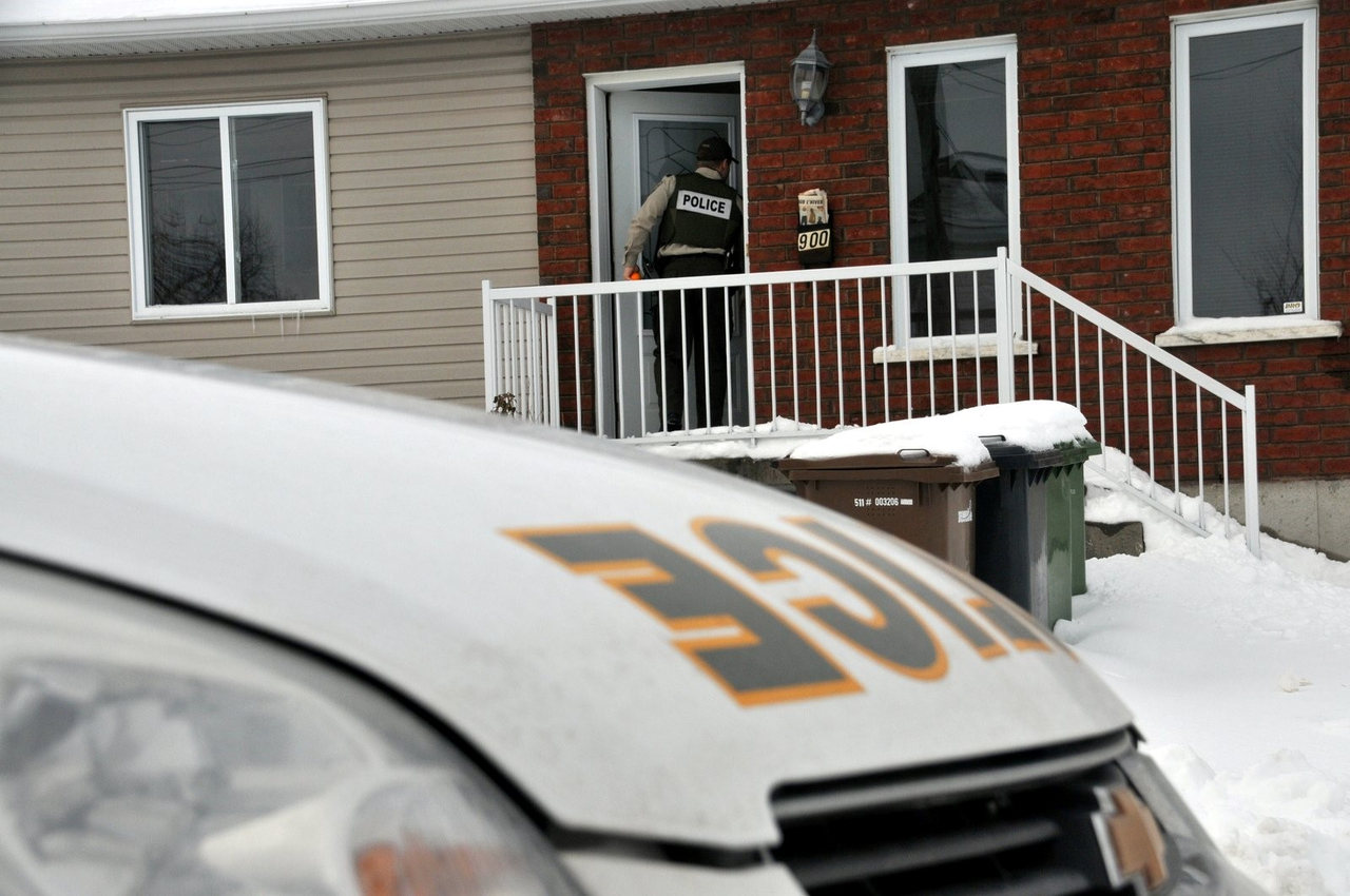 Démantèlement de cultures de cannabis: neuf arrestations