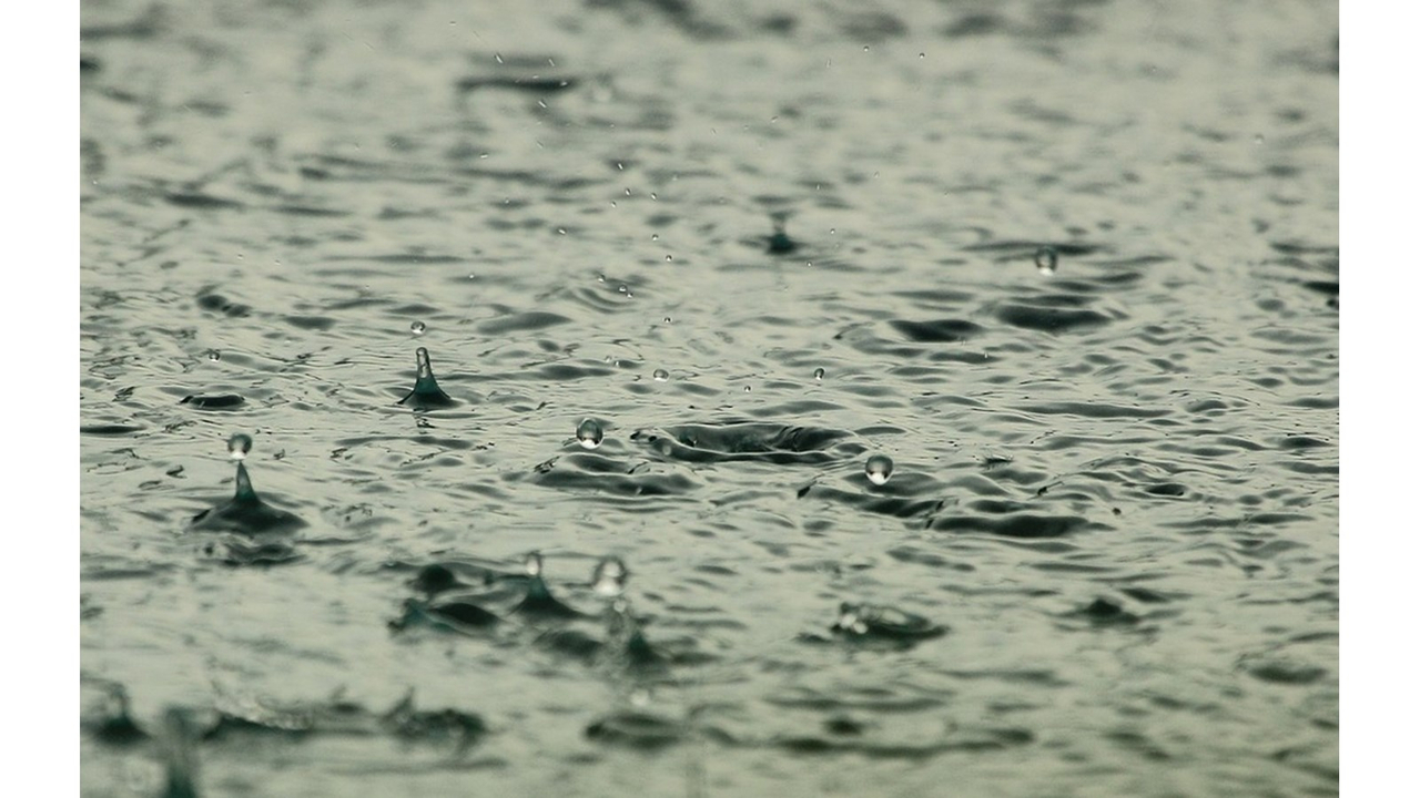 Fermeture de certaines portions des sentiers de la rivière Rimouski