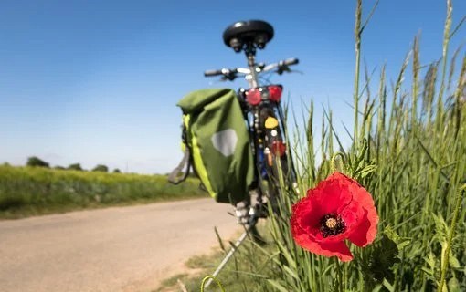 Les inscrits récoltent des dons et doivent se préparer à rouler en même temps que le feront tous les autres participants le 11 ou le 12 juillet (c’est aussi à eux de décider).