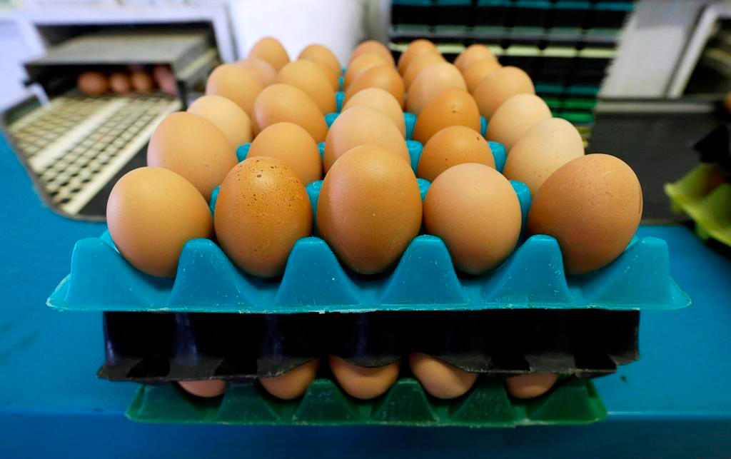 Les banques alimentaires du Québec sonnent l'alarme