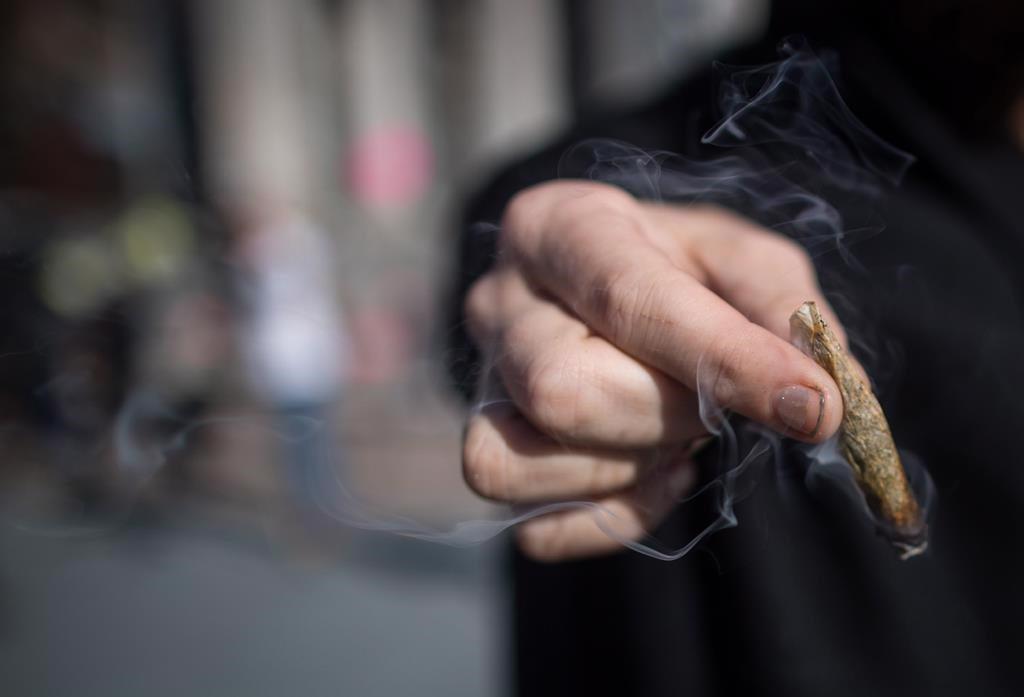 Baisse de la proportion de Québécois qui consomment du cannabis, selon l'ISQ