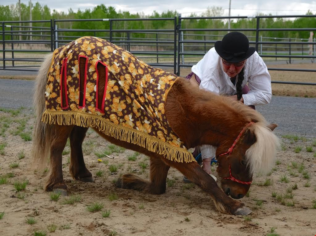 Saint-Lazare au galop dévoile sa programmation