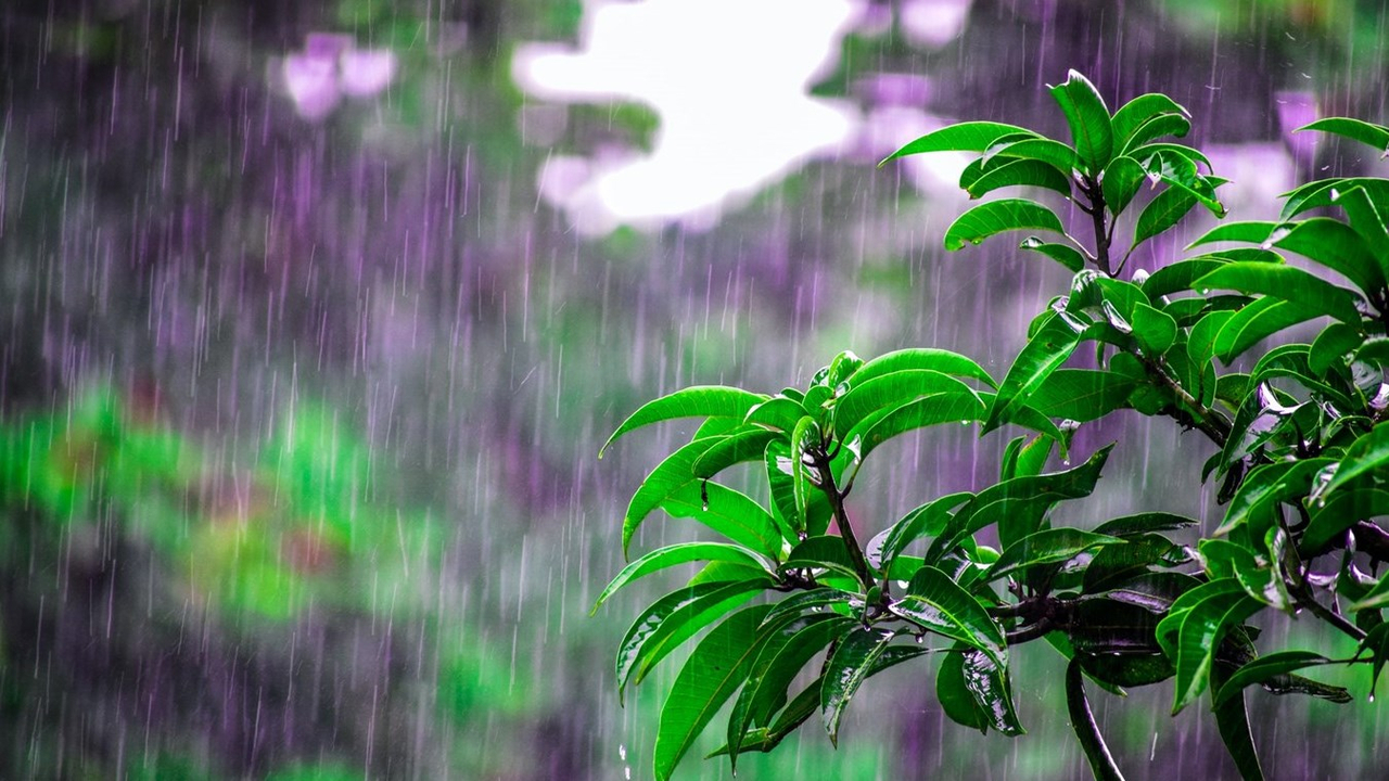 Une trentaine de millimètres de pluie et de forts vents sont prévus dans les prochaines heures