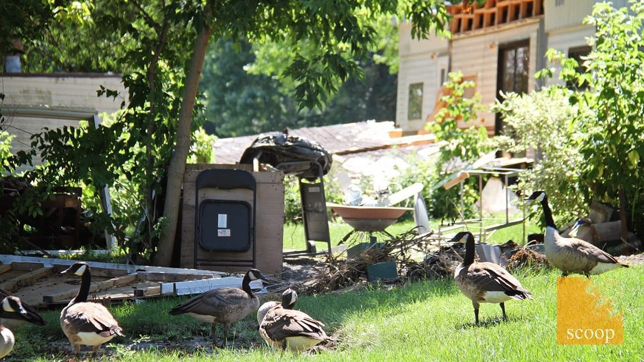Un site de camping laissé à l’abandon à Coteau-du-Lac