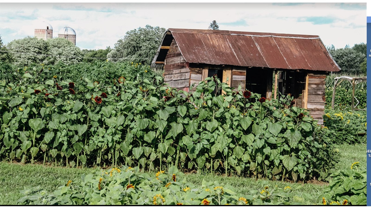 Domaine La Belle: l’arrêt incontournable à faire cet automne dans Vaudreuil-Soulanges