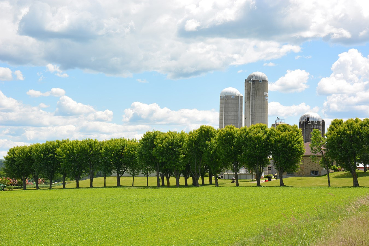 L’agroforesterie, une technique agricole alternative et écologique