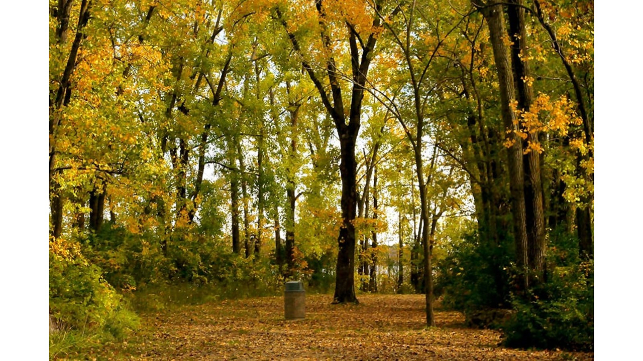 Les couleurs de Vaudreuil-Soulanges - Galerie 5