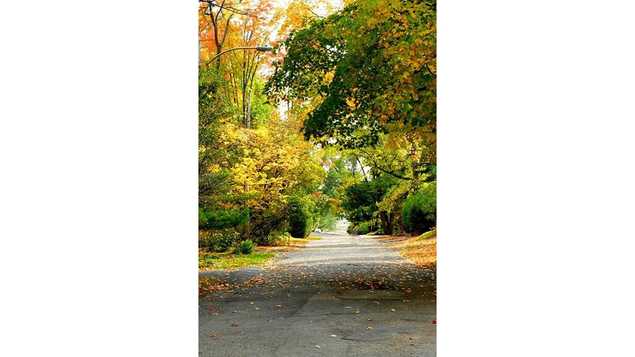 Les couleurs de Vaudreuil-Soulanges - Galerie 5