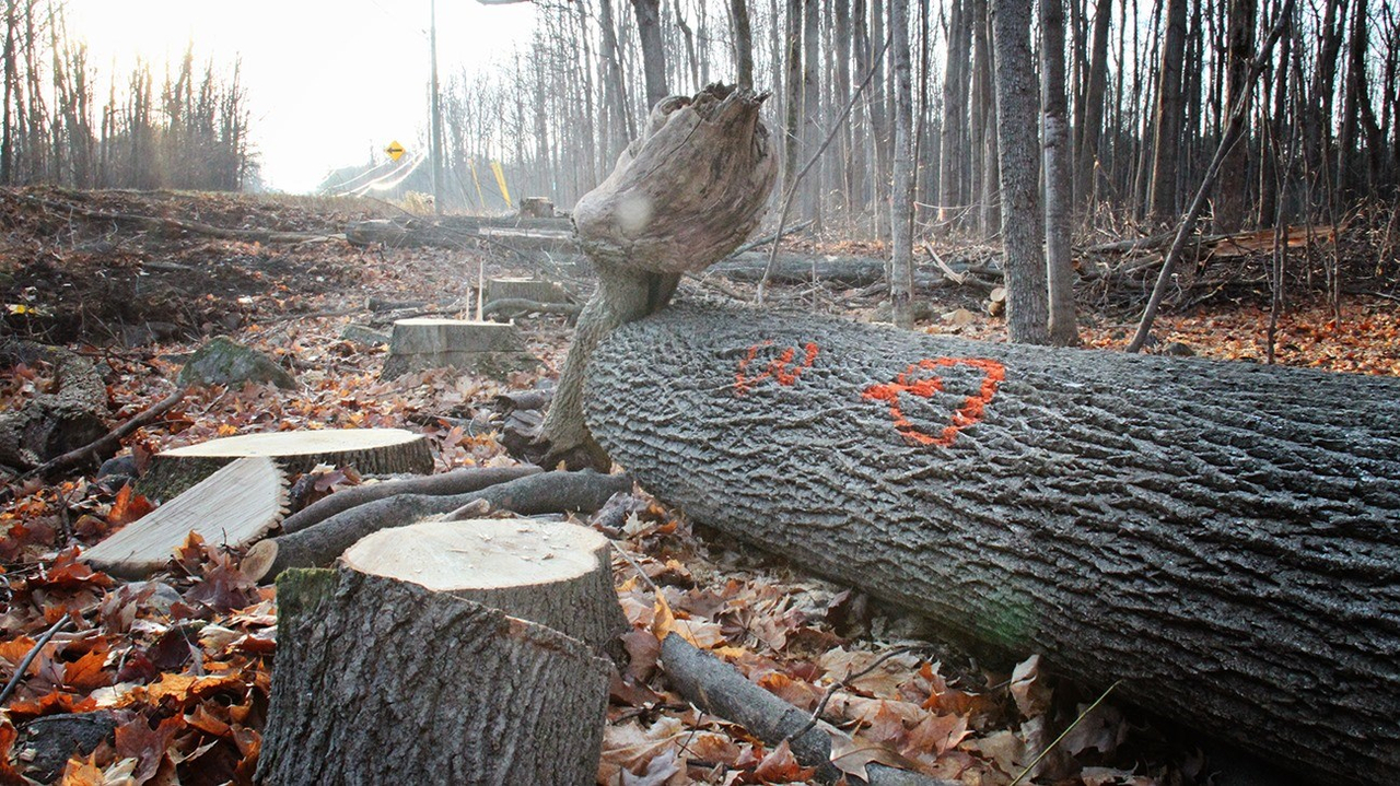 Hydro-Québec laisse un paysage désolant dans la montagne de Rigaud