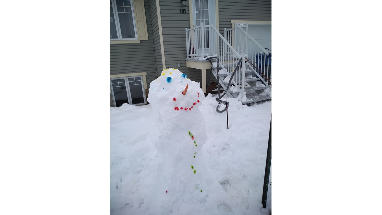 Partagez-nous vos photos de sculptures de neige - Galerie 1