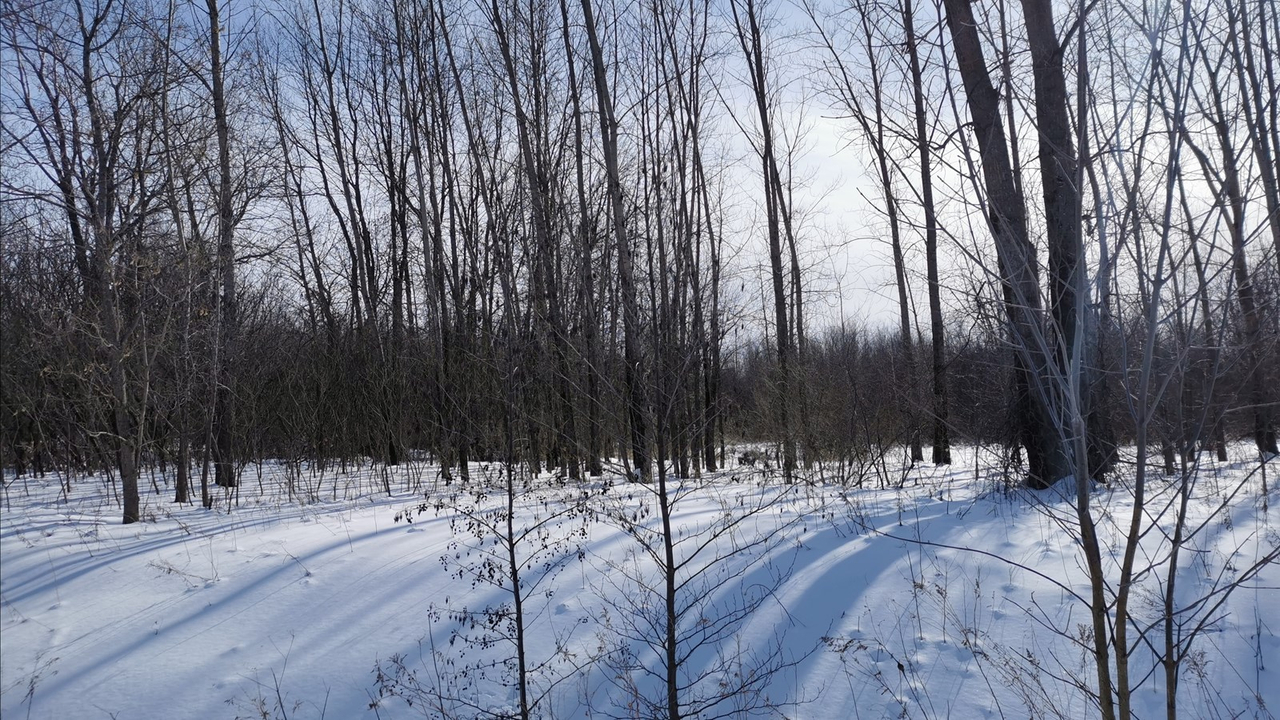 Un parc nature pour Notre-Dame-de-l’Île-Perrot