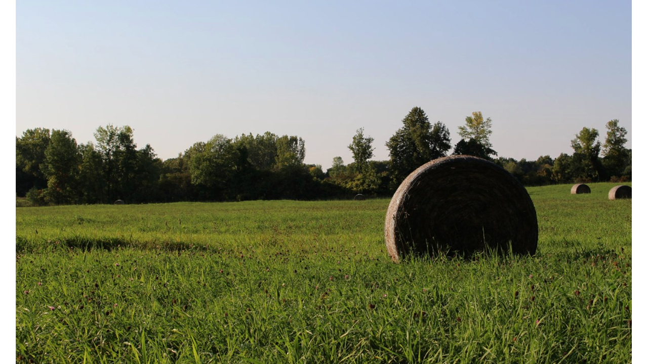 Producteurs agricoles propriétaires recherchés par la Ville de Rigaud