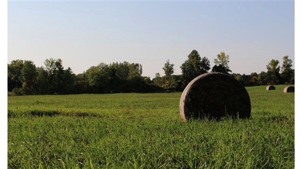 Pesticides: plusieurs efforts des agriculteurs pour en diminuer l'usage