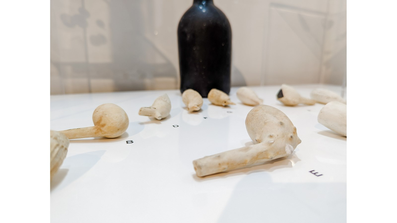 Journées de la culture: des activités pour tous les goûts à Les Coteaux
