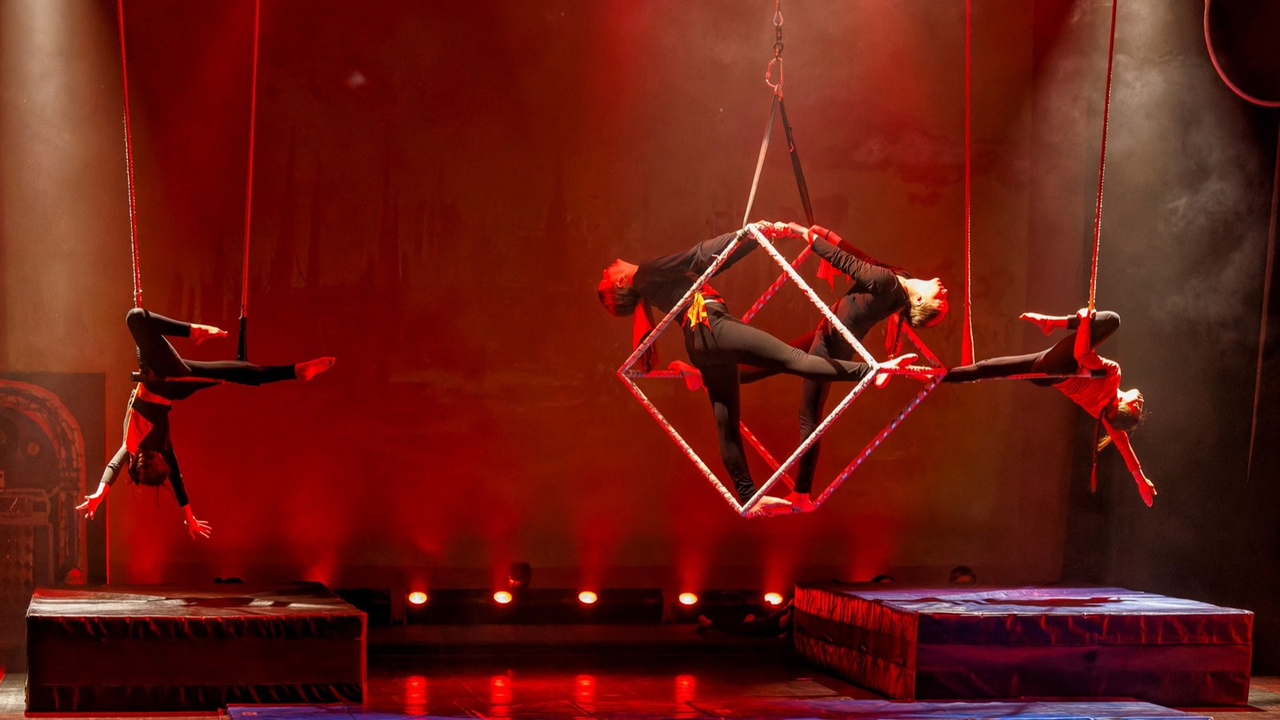 Retour en images sur le spectacle de cirque de l'école primaire Harwood