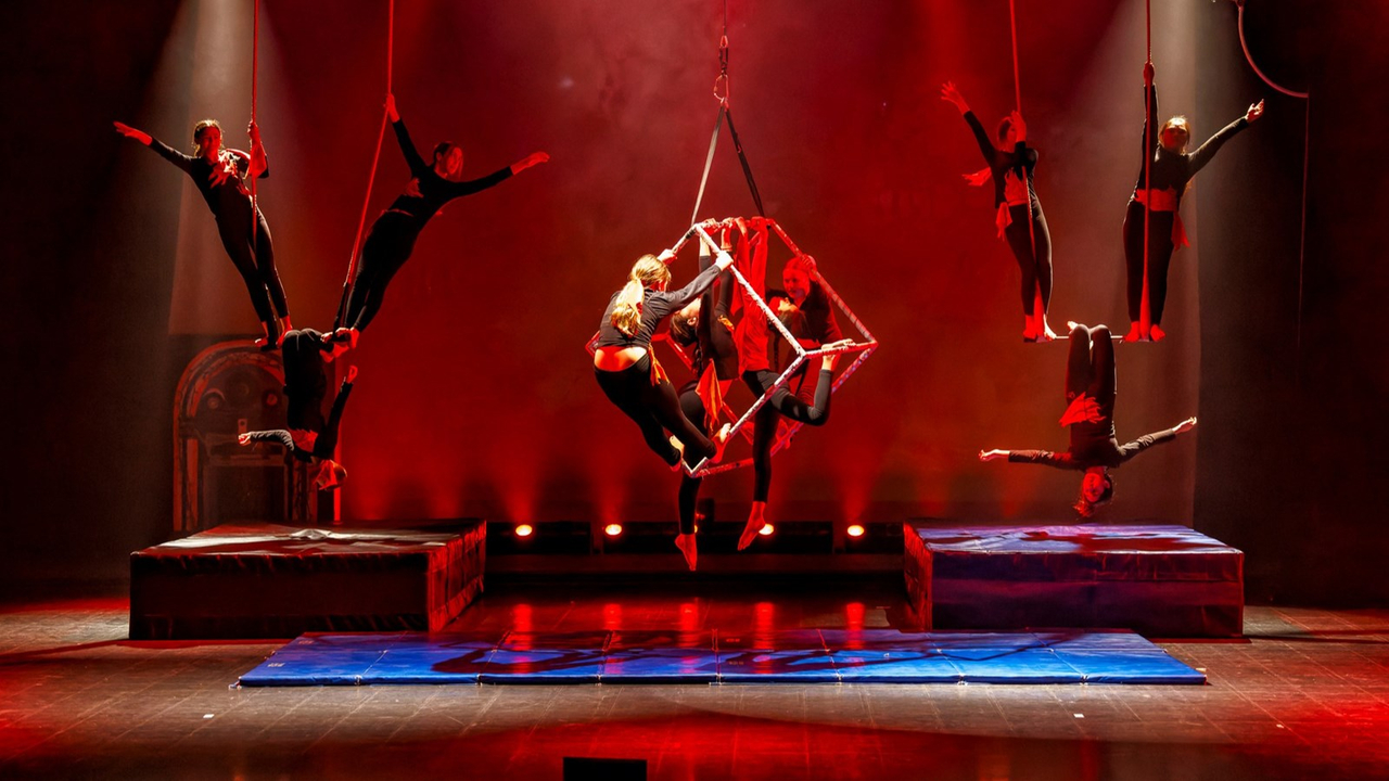 Retour en images sur le spectacle de cirque de l'école primaire Harwood
